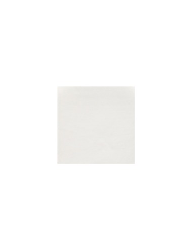 PORCELAINE LISSE - PSL - 10 KG