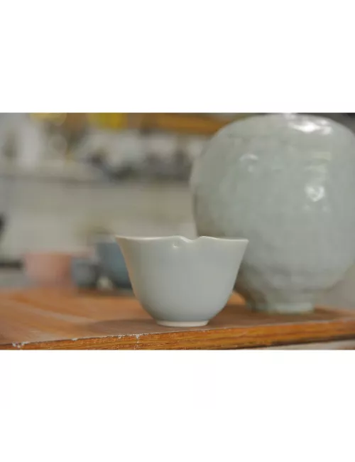 PORCELAINE LISSE - PSL -  10 kg