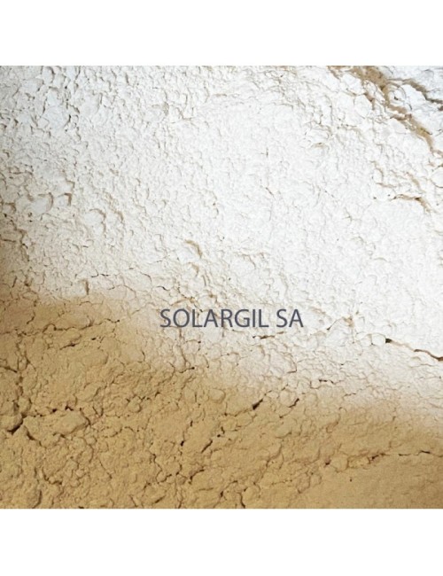 ENGOBE DE PROTECTION  POUR LES  PLAQUES