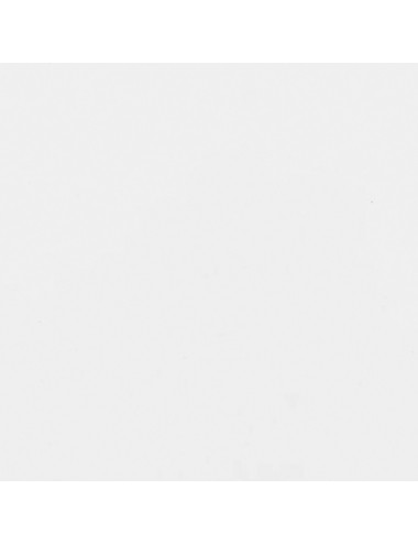 PORCELAINE LISSE - ROYPO - 12,5 KG