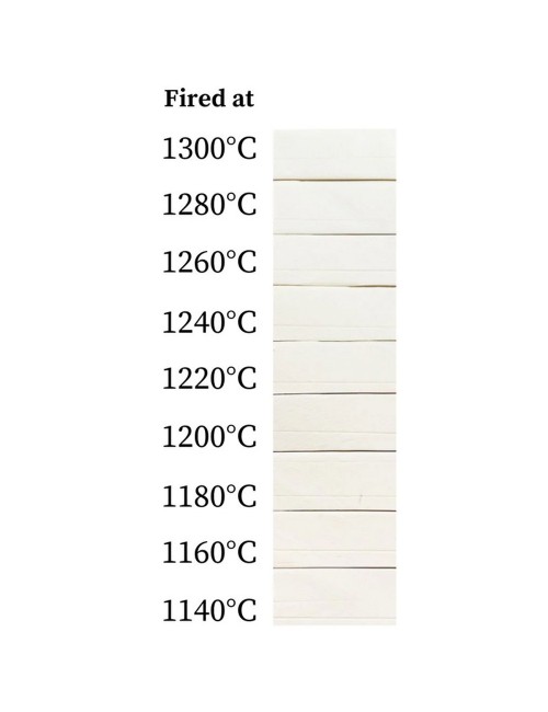 PORCELAINE LISSE - ROYPO - 12,5 kg