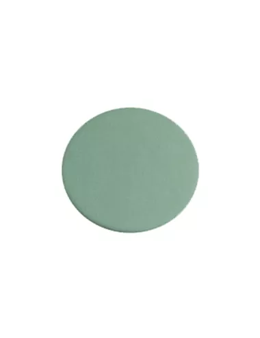 PORCELAINE COLORÉE VERT FEUILLE - PVH - 1 KG (jusqu'à fin stocks)