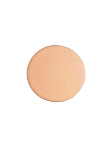 PORCELAINE COLORÉE ROSE CHAIR - PTR2 - 1 KG