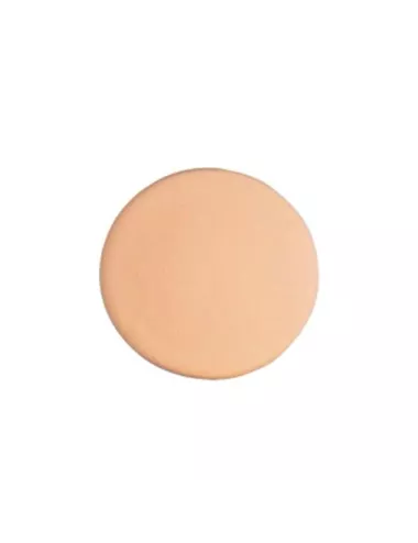 PORCELAINE COLORÉE ROSE CHAIR - PTR2 - 1 KG (jusqu'à fin stocks)