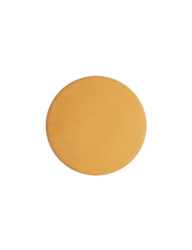 PORCELAINE COLORÉE ORANGE - PNT2 - 1 KG