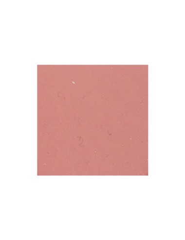 MODELAGE ROSE - MROSE5 - 5 KG