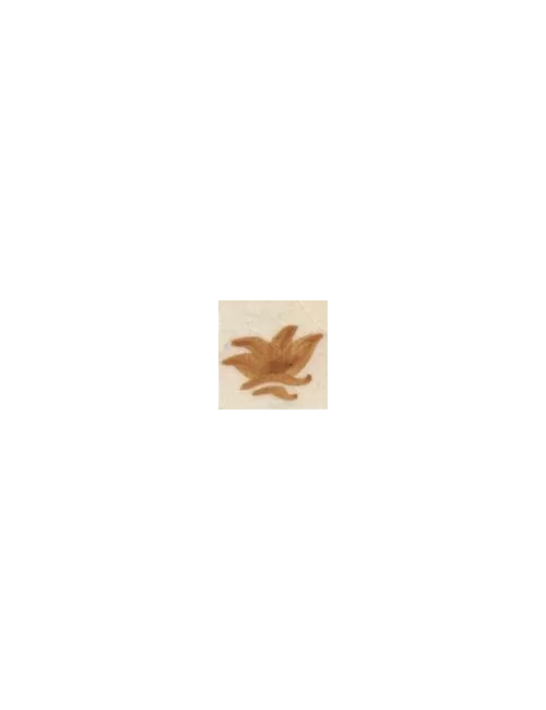 COLORANT Série D OCRE CUIVRE D72