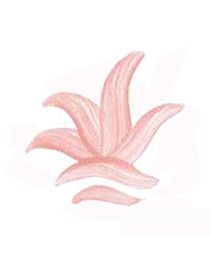 COULEUR SEMI OPAQUE ROSE VIF VP.3159