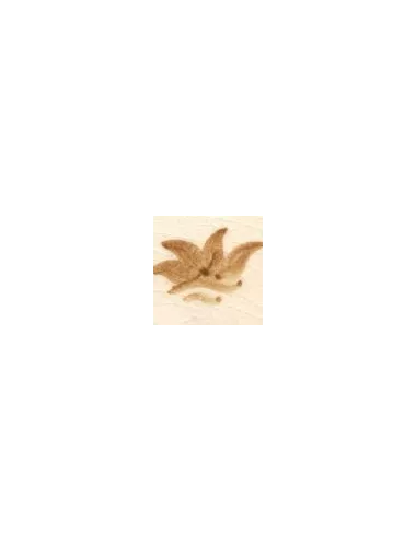 COLORANT Série D OCRE JAUNE D22