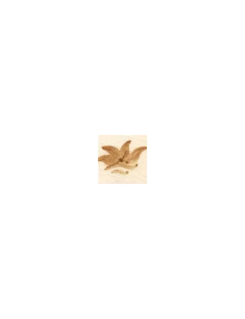 COLORANT Série D OCRE JAUNE D22