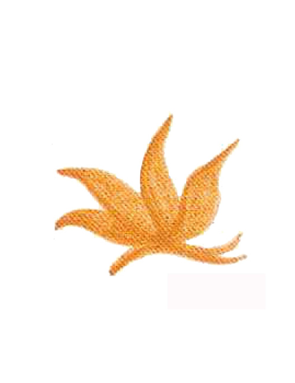 COLORANT Série D OCRE JAUNE FONCÉ D01