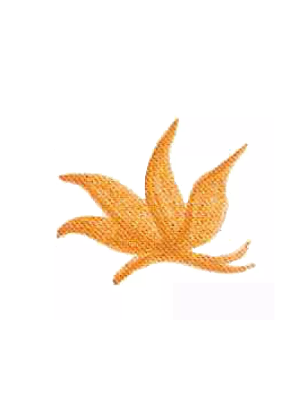 COLORANT Série D OCRE JAUNE FONCÉ D01