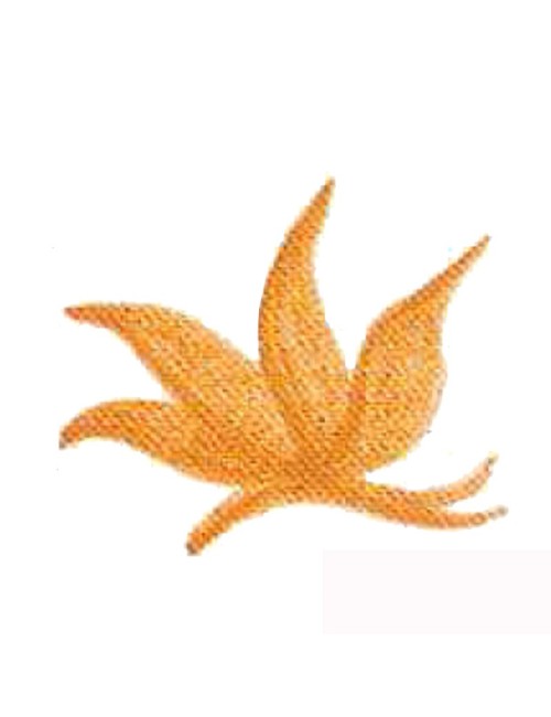 COLORANT Série D OCRE JAUNE FONCÉ D01