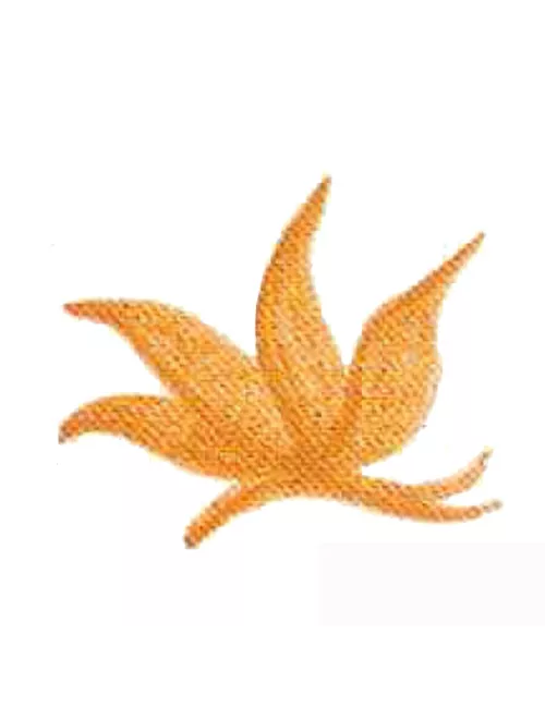 COLORANT Série D OCRE JAUNE FONCÉ D01