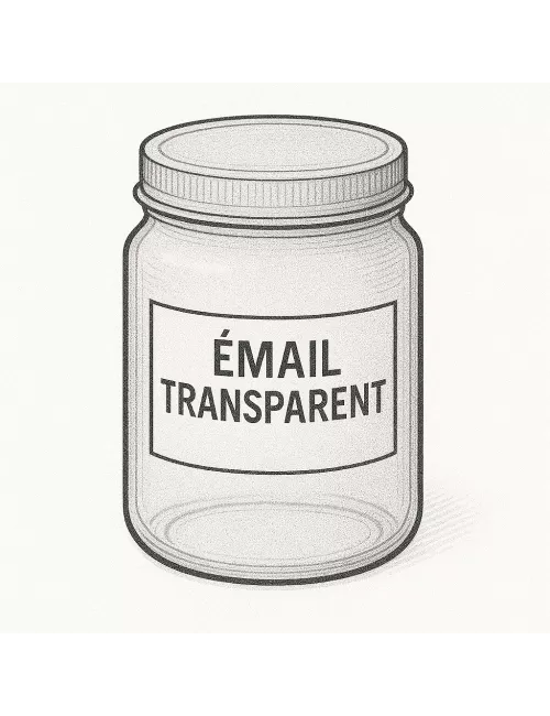 ÉMAIL FAÏENCE TRANSPARENT INCOLORE FONDANT SS PL POUR SERIE P - F20