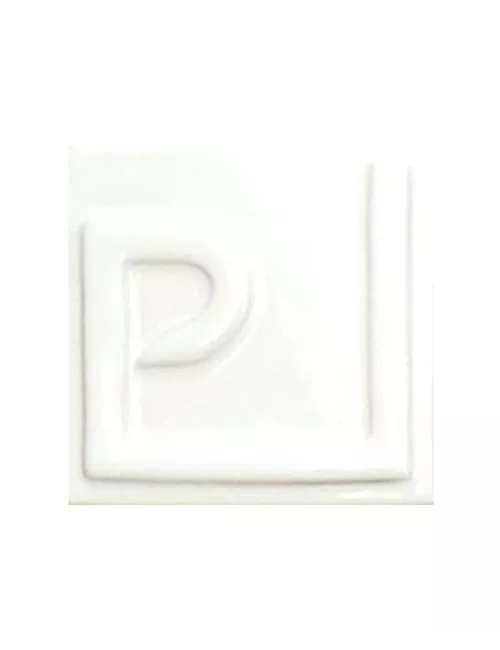 ÉMAIL FAÏENCE LIQUIDE OPAQUE SS PLB BRILLANT BLANC 1KG EOSP0LL