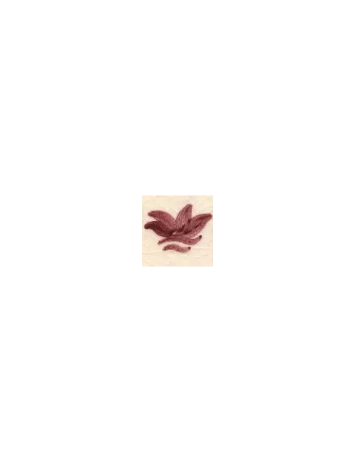 COLORANT Série D ROSE D07