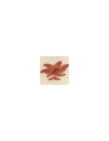 COLORANT Série D ROSE SAUMON D92