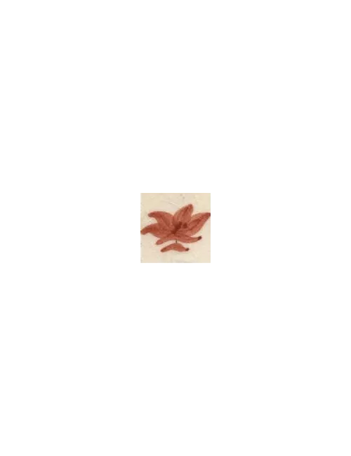 COLORANT Série D ROSE SAUMON D92