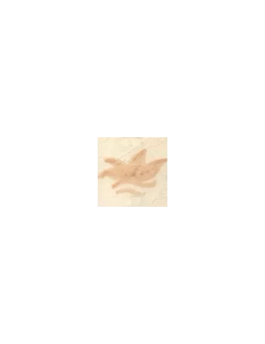 COLORANT Série D ROSE CLAIR D77
