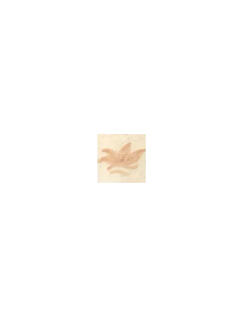 COLORANT Série D ROSE CLAIR D77