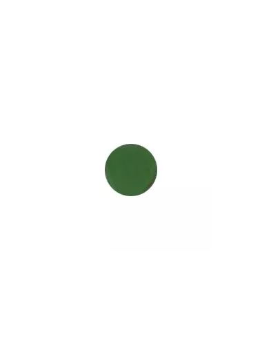 ÉMAIL FAÏENCE OPAQUE CLOISONNÉ BRILLANT VERT  CS08