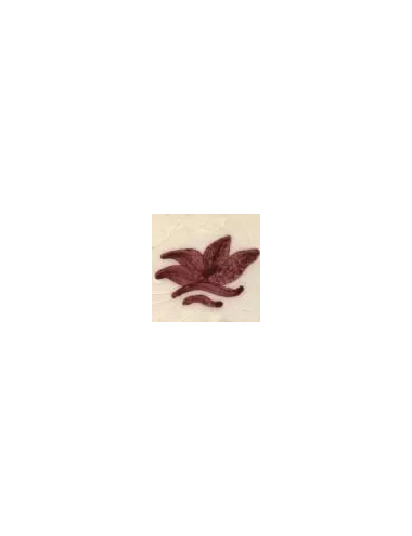 COLORANT Série D ROUGE BORDEAUX D102