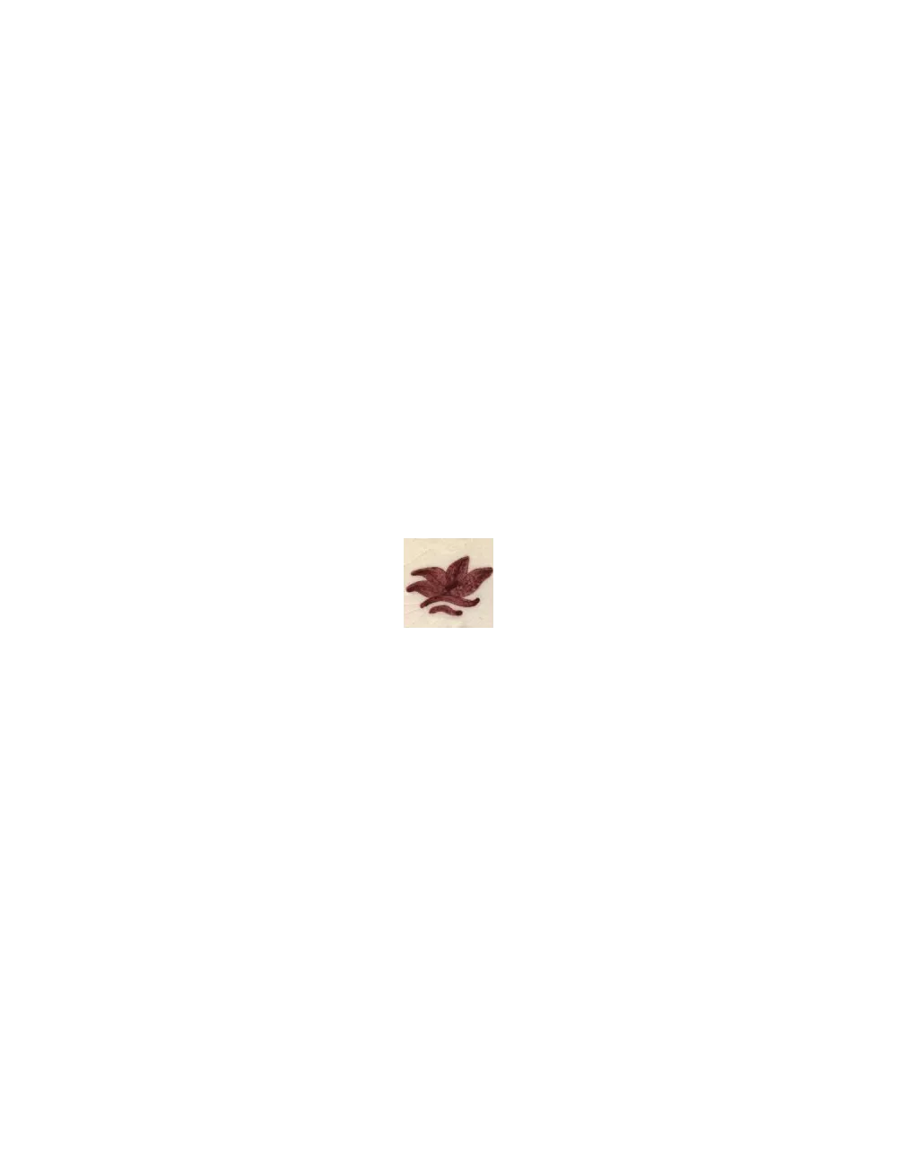 COLORANT Série D ROUGE BORDEAUX D102