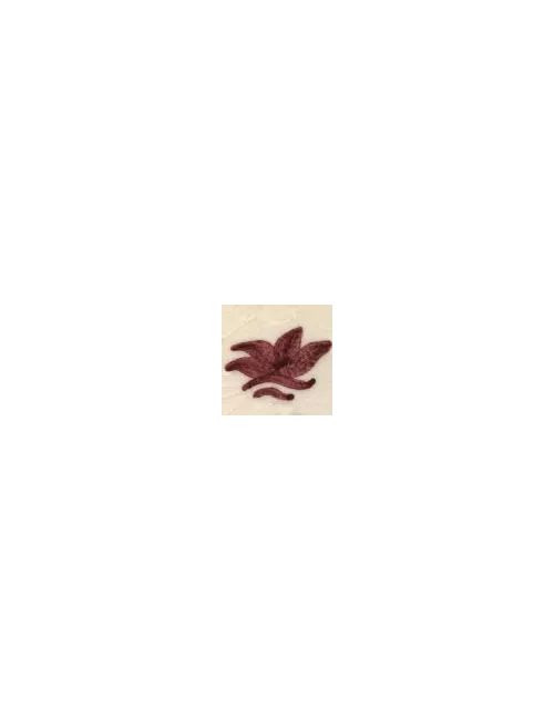 COLORANT Série D ROUGE BORDEAUX D102