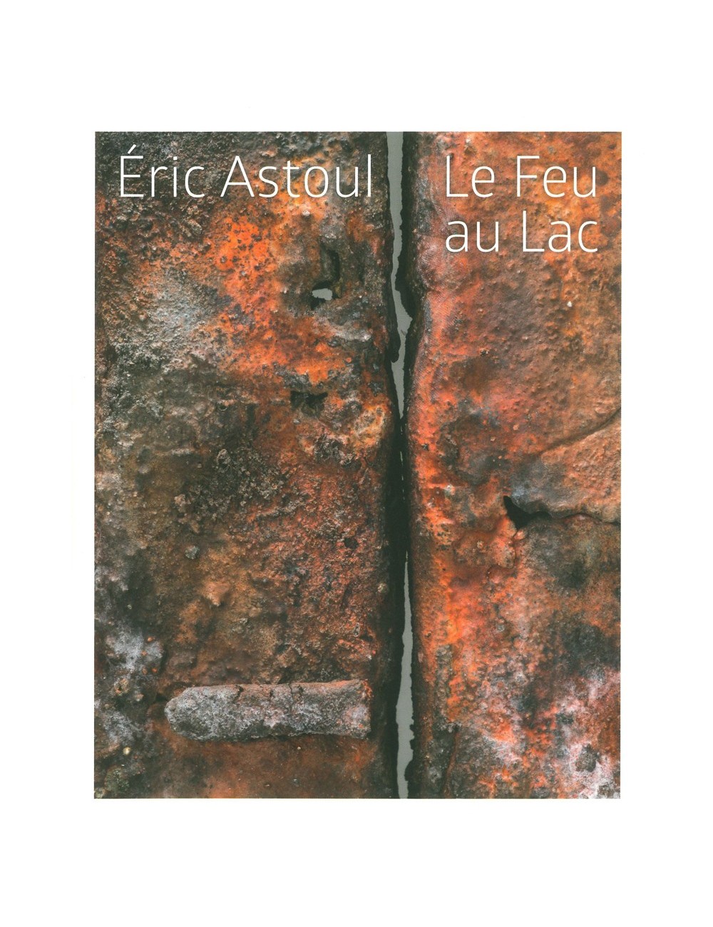 LIVRE  LE FEU AU LAC ERIC ASTOUL