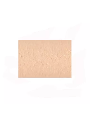 ENGOBE FAÏENCE SANS PLOMB GRIS BEIGE 6024