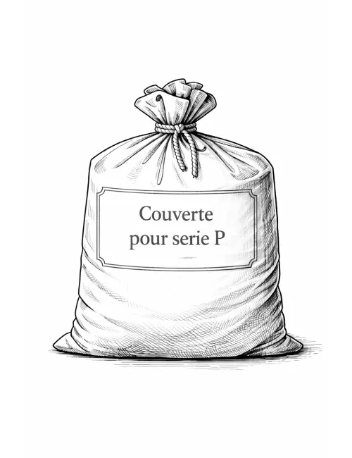 ÉMAIL GRÈS & PORCELAINE COUVERTE POUR Série "P" 0301