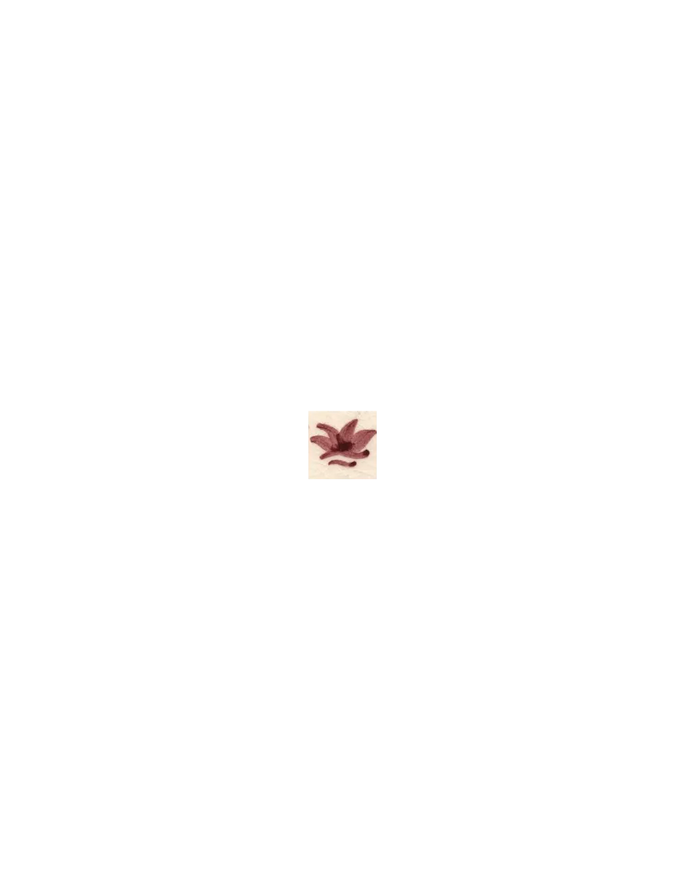 COLORANT Série D ROUGE GRENAT D08