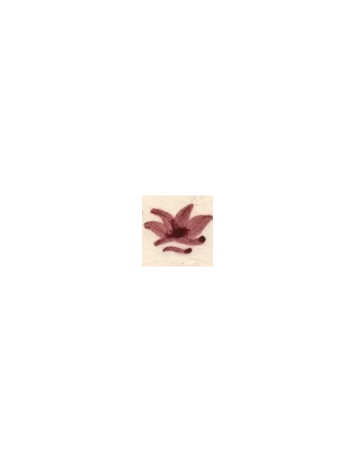 COLORANT Série D ROUGE GRENAT D08