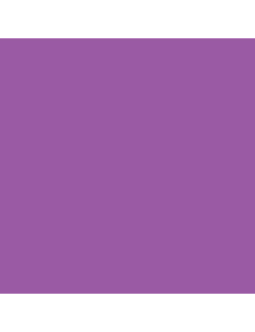 CRAYON VIOLET 612