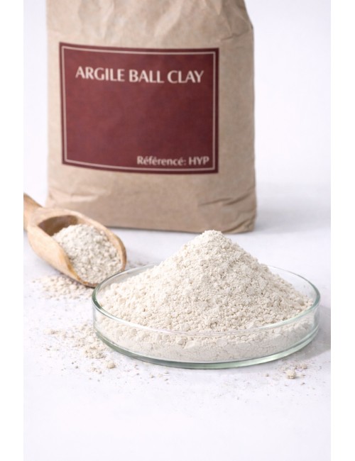 ARGILE BALL CLAY HYPLAST 71