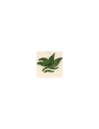 COLORANT Série D VERT FEUILLE D53