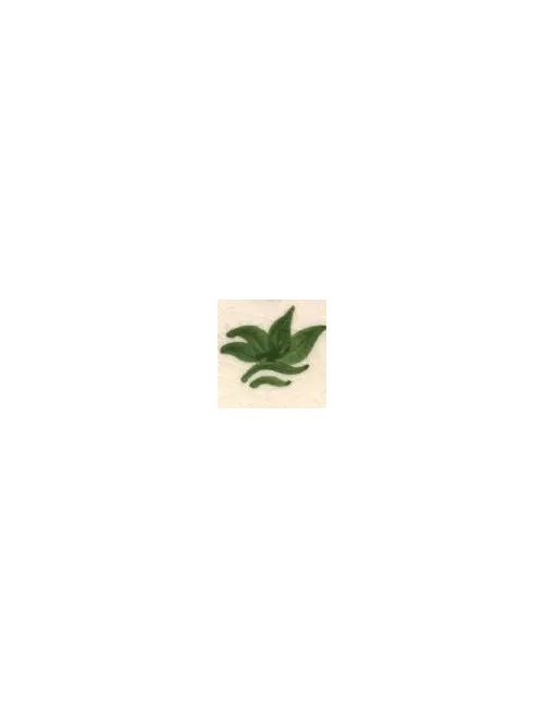 COLORANT Série D VERT FEUILLE D53