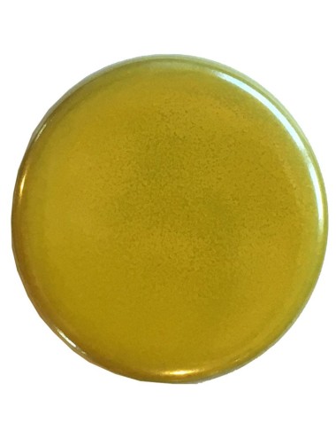 EMAIL LUSTRE VERT DORE 263/60