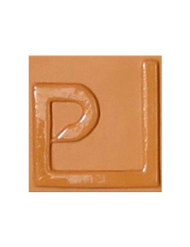 ENGOBE FAÏENCE SANS PLOMB OCRE ENSP19