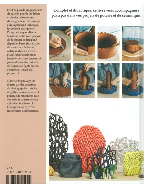 LIVRE MAITRISER LE MODELAGE