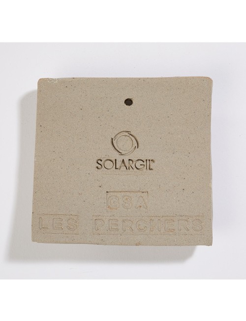 GRÈS DE SAINT AMAND LISSE - PERCHERS - 10 KG