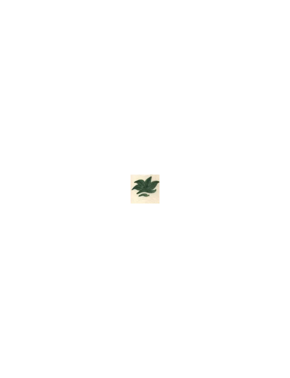COLORANT Série D VERT PERSAN D96