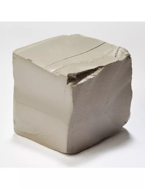 PÂTE BLANCHE RAKUMITSU CH. 0-0,2 - RAKUMITSU002 - 10 kg