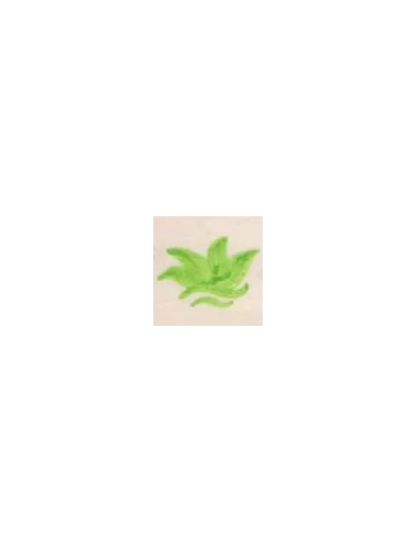 COLORANT Série D VERT VANADIUM D95
