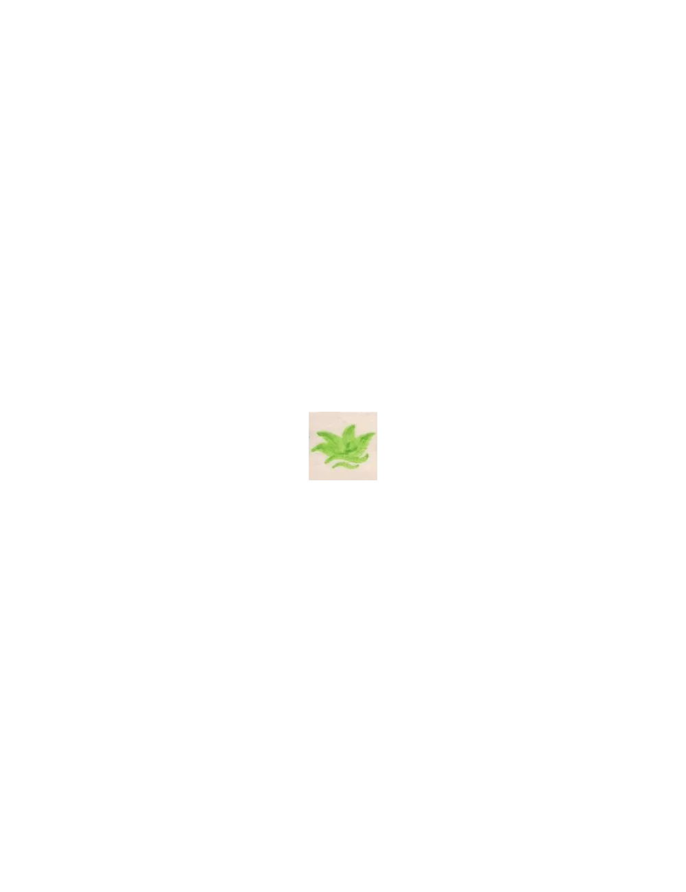 COLORANT Série D VERT VANADIUM D95