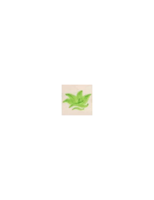 COLORANT Série D VERT VANADIUM D95