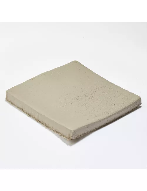 PHOENIX DEVELOPPEMENT DURABLE 1 KG