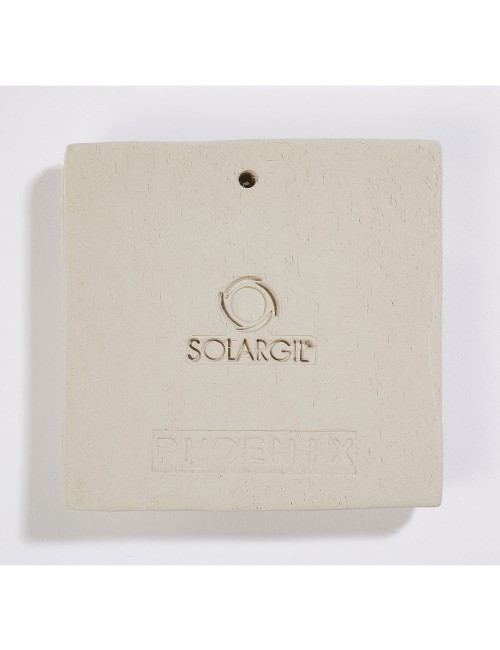 PHOENIX DEVELOPPEMENT DURABLE 1 KG