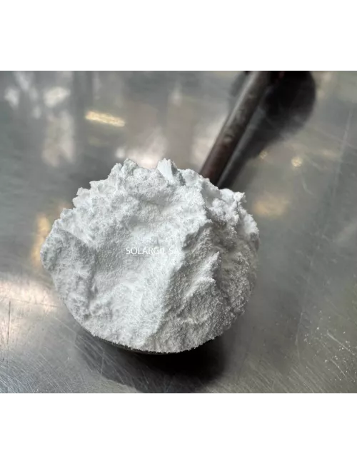 GIESSFIX 162 DEFLOCULANT DE MASSE